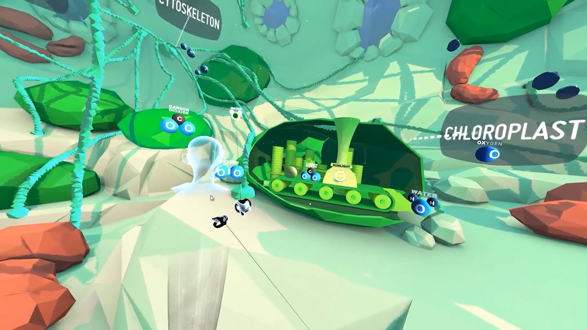 Inside Virtual Plant Cell: a labelled chloroplast and mitochondrion, with the cytoskeleton overhead, seen from the player's viewpoint